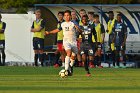 Men's Soccer vs Gordon  Wheaton Men's Soccer vs Gordon. - Photo by Keith Nordstrom : Wheaton, Soccer, Gordon, MSoc2019